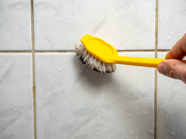 Wagoner, OK Mold Remediation Company