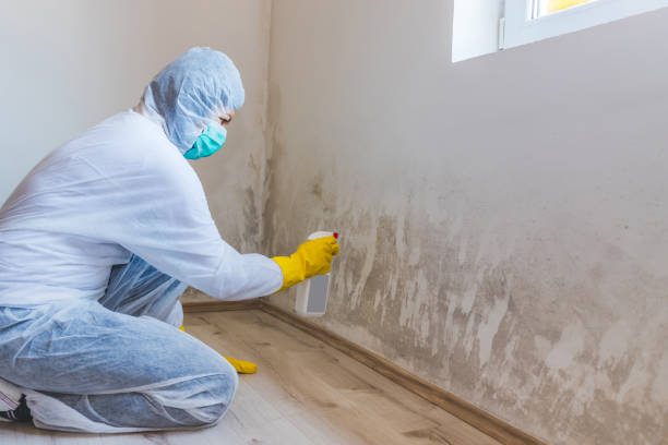 Best Industrial Mold Remediation in Wagoner, OK