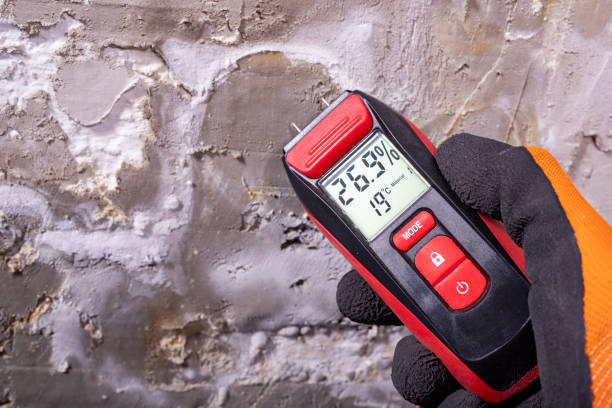 Best Mold Testing and Inspection Services in Wagoner, OK