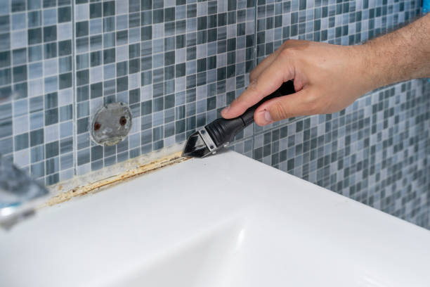 Best Mold Remediation for Schools in Wagoner, OK